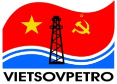 VSP Logo